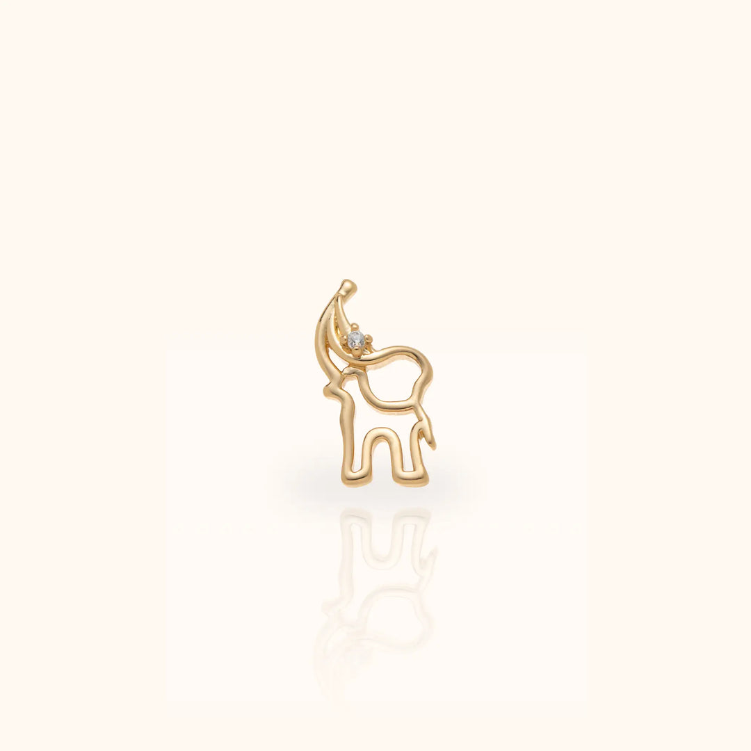 Amara Mini Charm